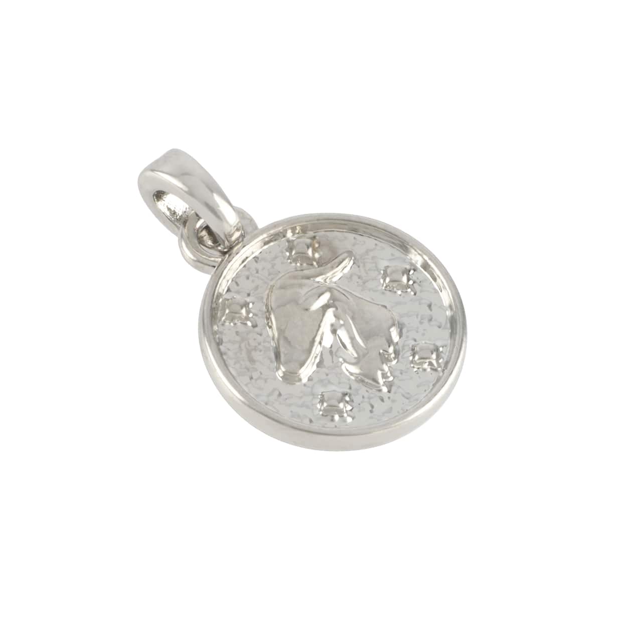 12 Pack: Metal Zodiac Coin Charm by Bead Landing™
